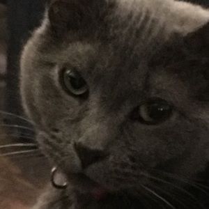 Meet your Posher, Julie